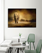 Obraz Slony v Afrike zs1187